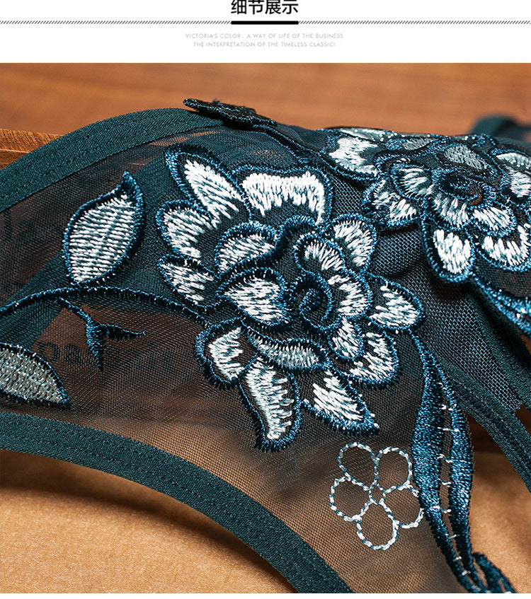 erotic panties no-go thong sexy lace transparent passion temptation sm adult products