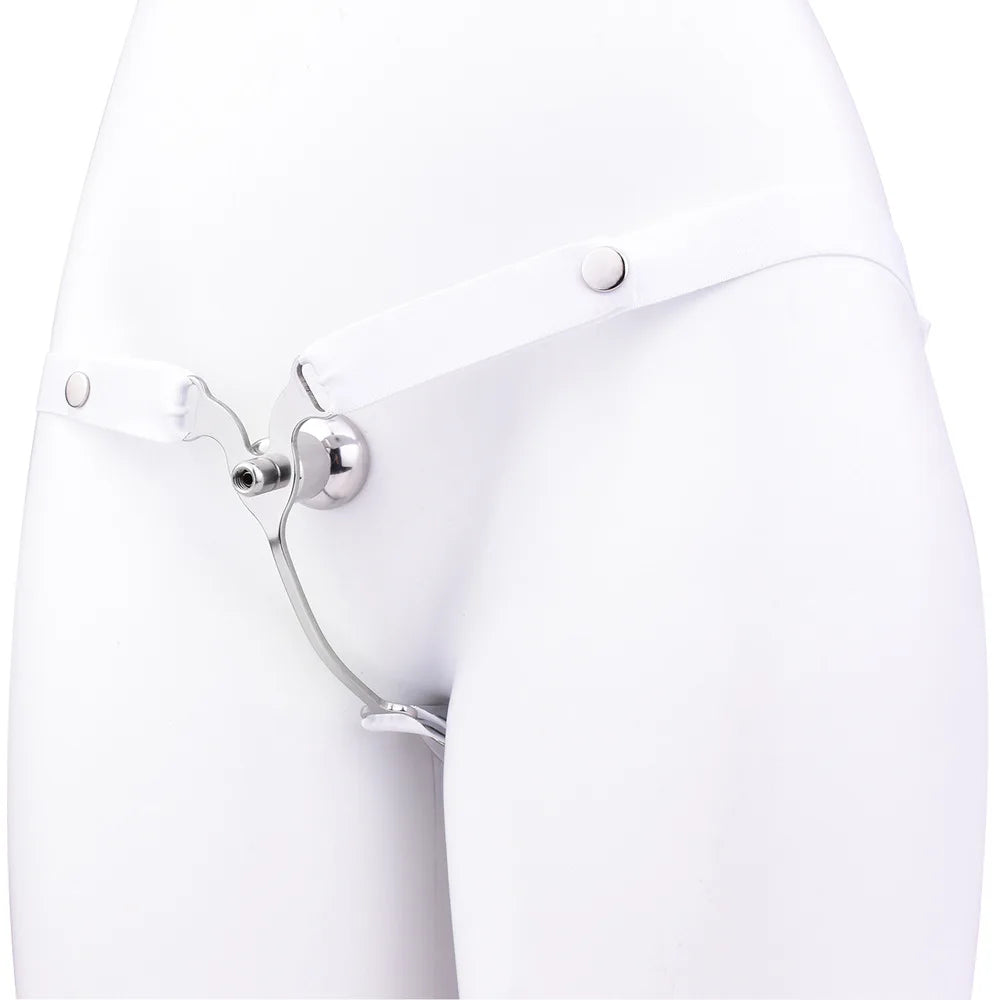 Invisible Sissy Chastity Belt Device Adult Panty Bondage Abstinence From Cheating Vaginal Lock Penis Clip Sex Toys