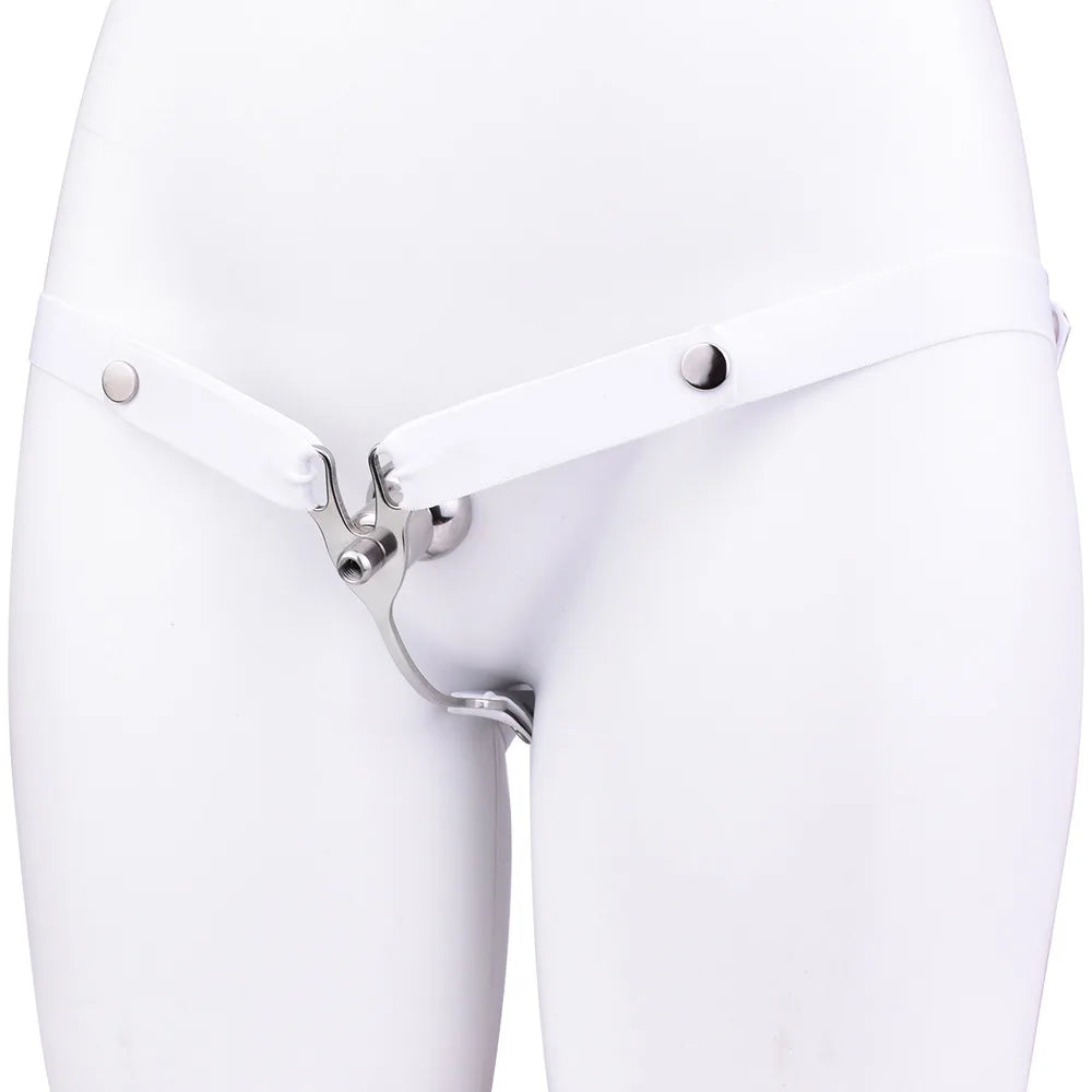 Invisible Sissy Chastity Belt Device Adult Panty Bondage Abstinence From Cheating Vaginal Lock Penis Clip Sex Toys