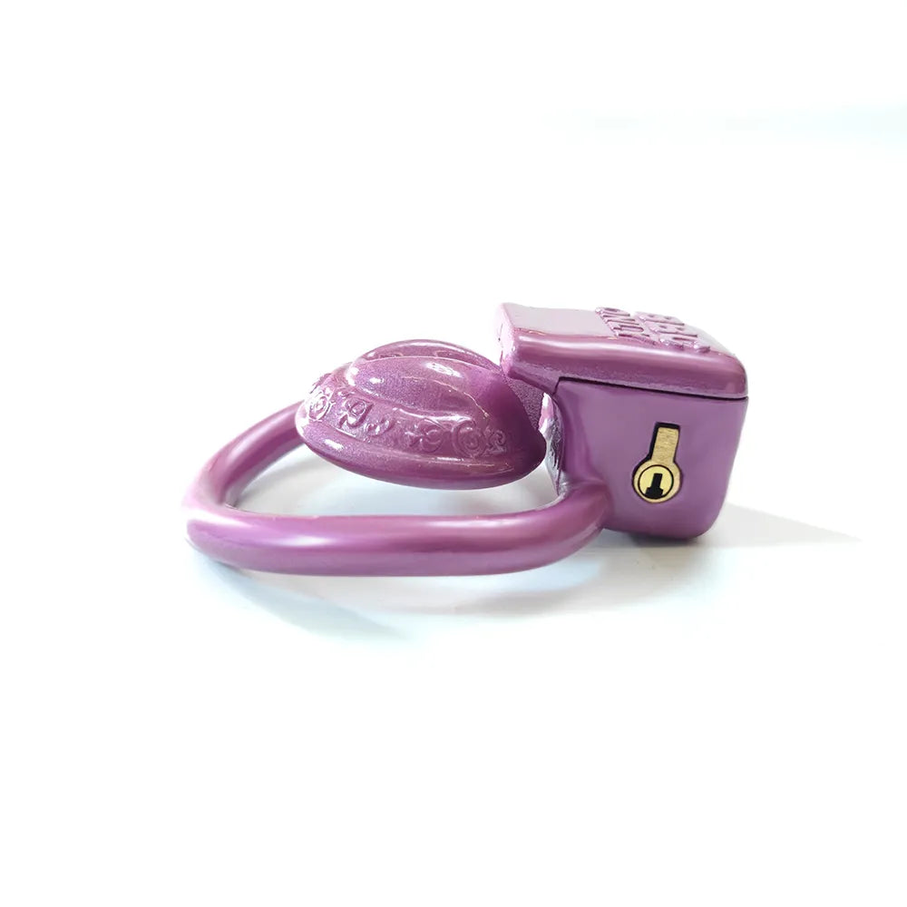 Super Small Vagina Chastity Cage with 4 Rings