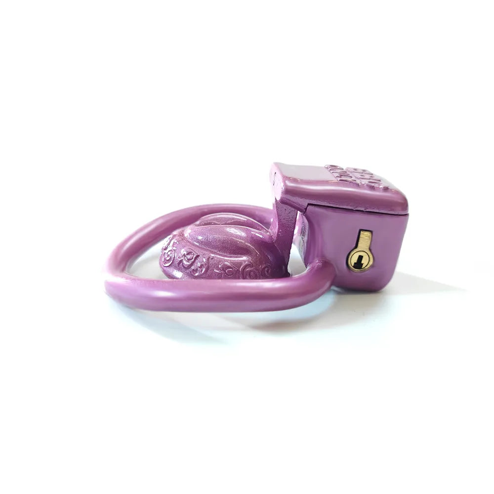 Super Small Vagina Chastity Cage with 4 Rings