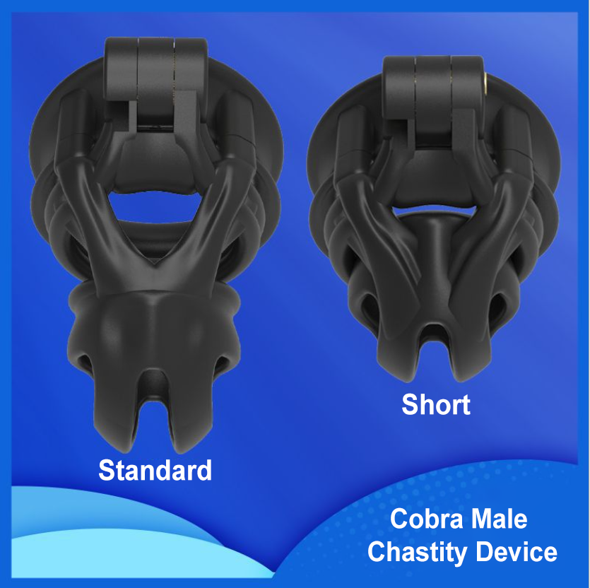 Arc Cobra Chastity Cage Chastity Device with 4 Rings