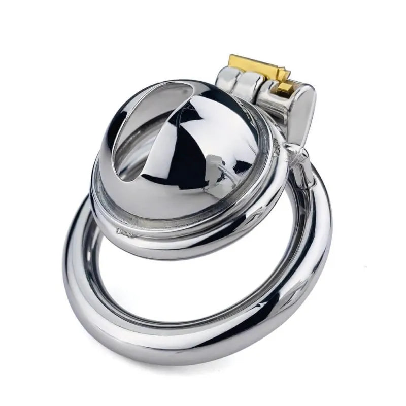 Experience Ultimate Control: Stainless Steel Small Male Chastity Cage