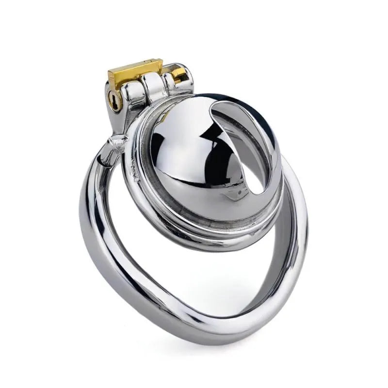 Experience Ultimate Control: Stainless Steel Small Male Chastity Cage