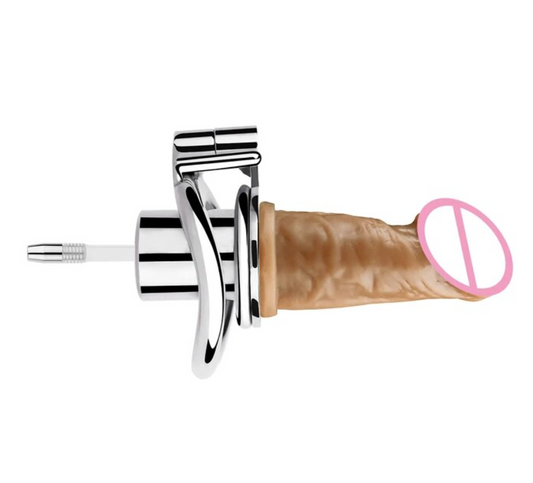 inverted chastity cage with dildo