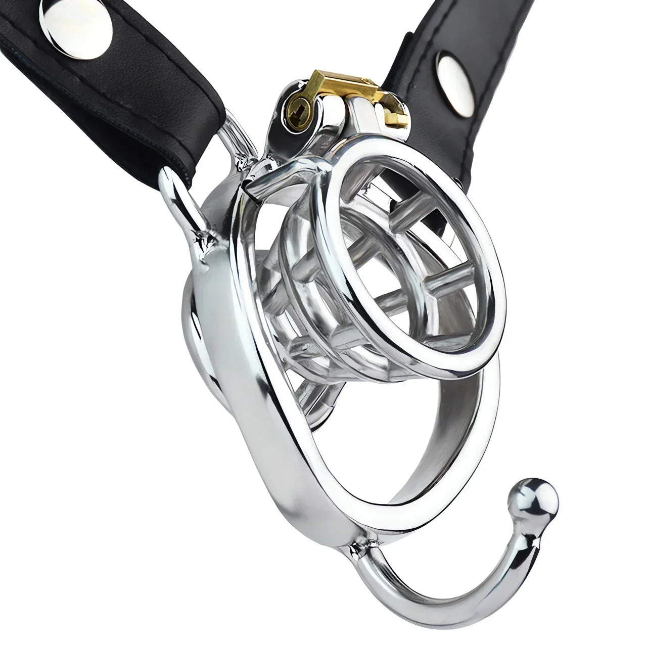 2024 New Sissy Inverted Chastity Cage