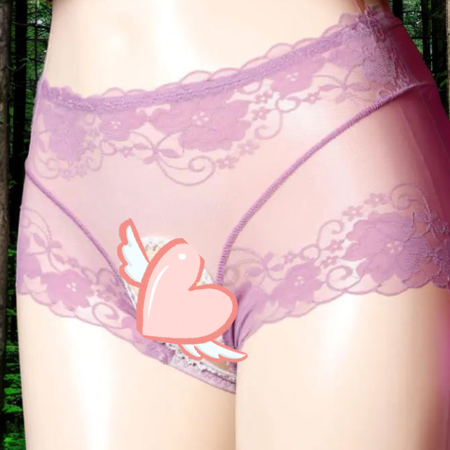 Open Crotch Lace Sheer Classic Underwear