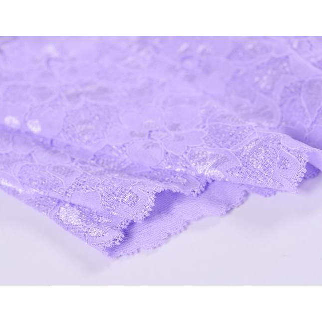 Lace transparent panties